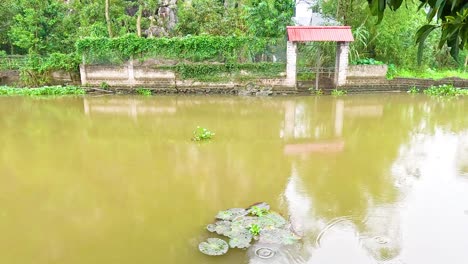 calm river with lush greenery and reflections