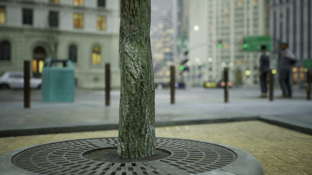Urban tree surrounded by cityscape showcases nature amid architecture