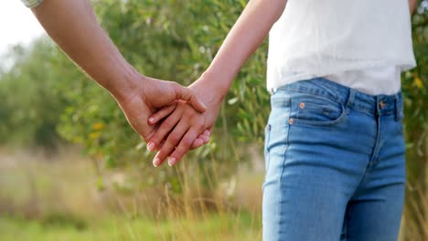 mid-section of couple holding hands in olive farm 4k