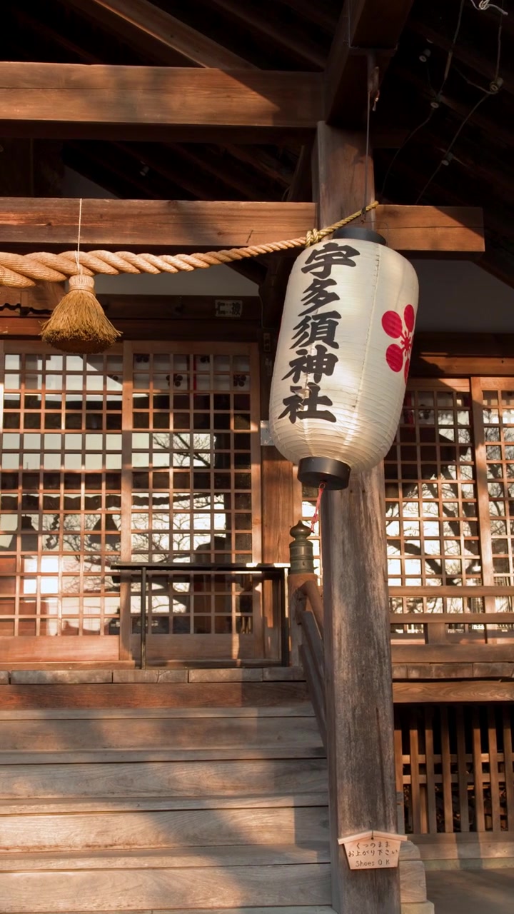 Golden hour sunlight illuminates a white paper lantern and sacred rope at a Japanese shrine