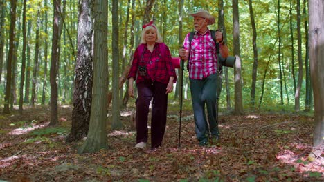 Excursionistas-Activos-Mayores-Abuela-Abuelo-Entrenando-Marcha-Nórdica-Con-Bastones-De-Trekking-En-El-Bosque