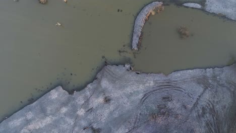 Vista-Aérea-De-Arriba-Hacia-Abajo-Del-Ganado-Pastando-En-La-Orilla-Del-Río-En-La-Fría-Mañana-De-Invierno