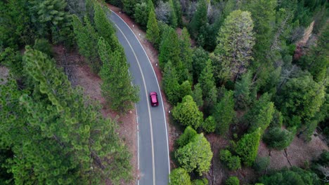 aerial view of a red car driving on a winding forest road