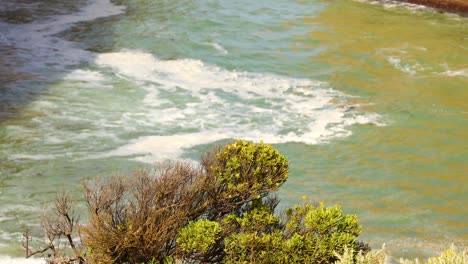 ocean waves gently crash against the rocky shore, surrounded by lush greenery under bright sunlight