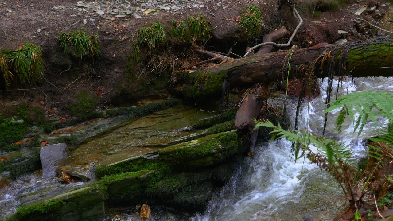 vista bloqueada de la corriente del río que fluye bajo un árbol caído y rocas cubiertas de musgo