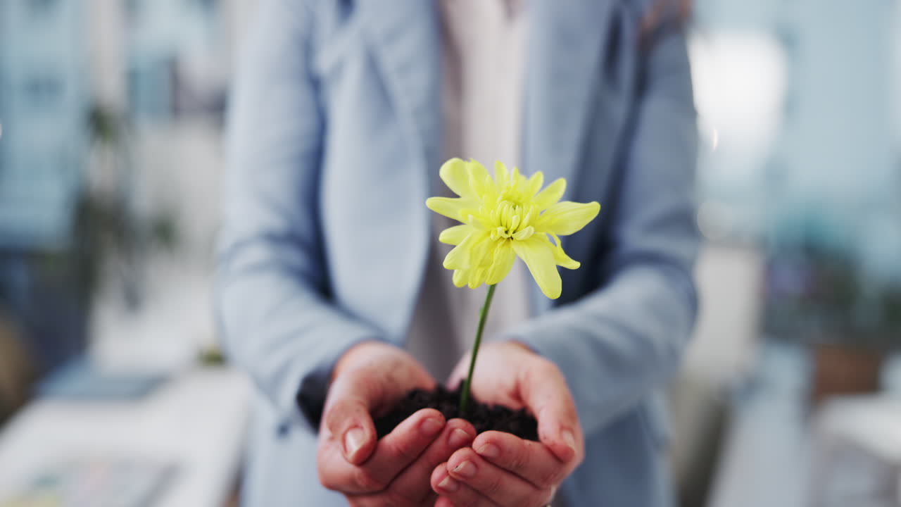 Hands holding a flower growing in soil
