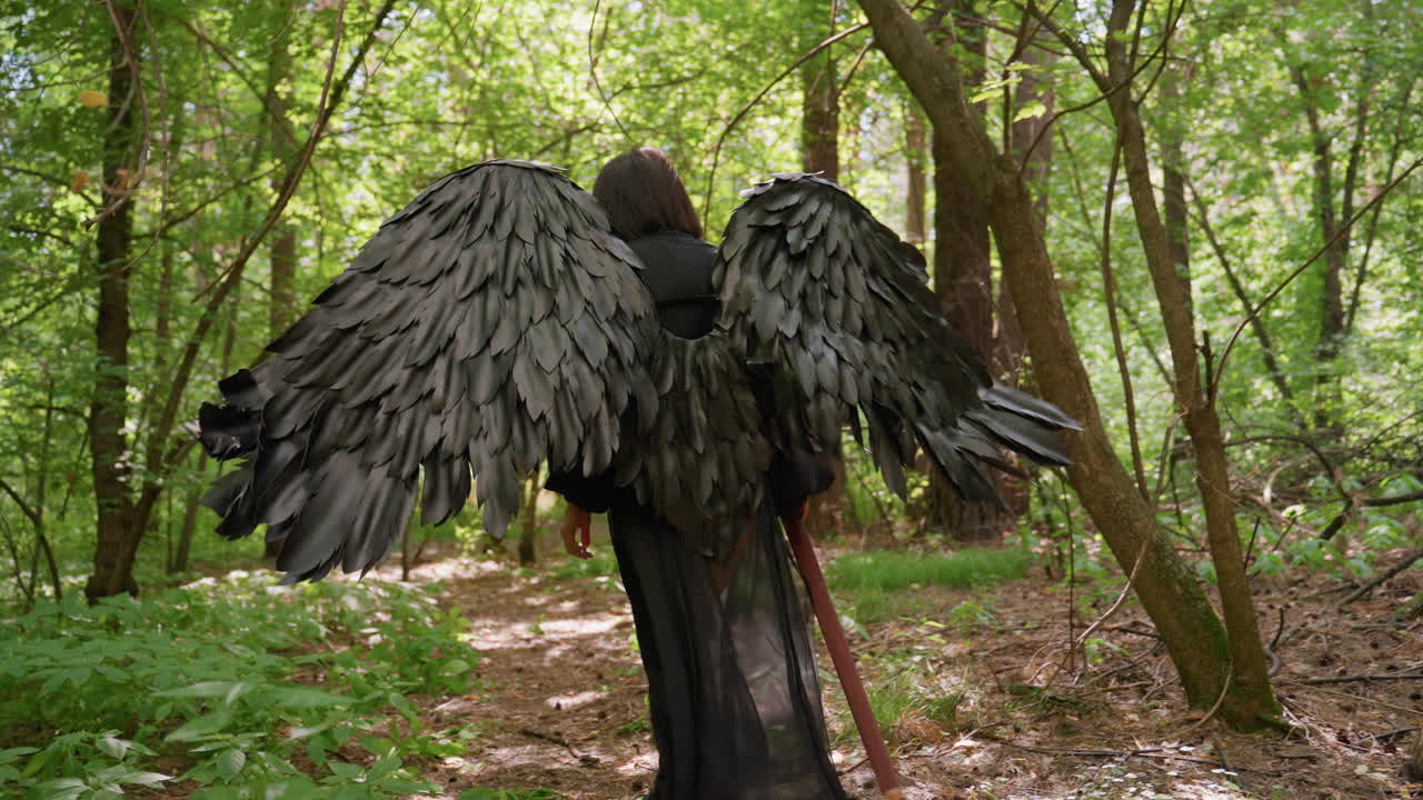 Rear view of magical creature with black wings walking elegantly through forbidden woodland, sunlight shimmering through green leaves, creating mysterious and enchanting atmosphere
