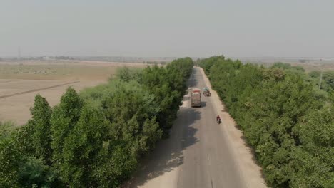 在khairpur sindh的巴基斯坦高速公路上有厚厚的绿色树木,