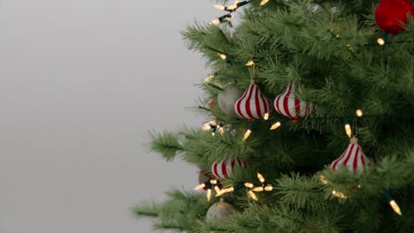 close-up of a christmas tree