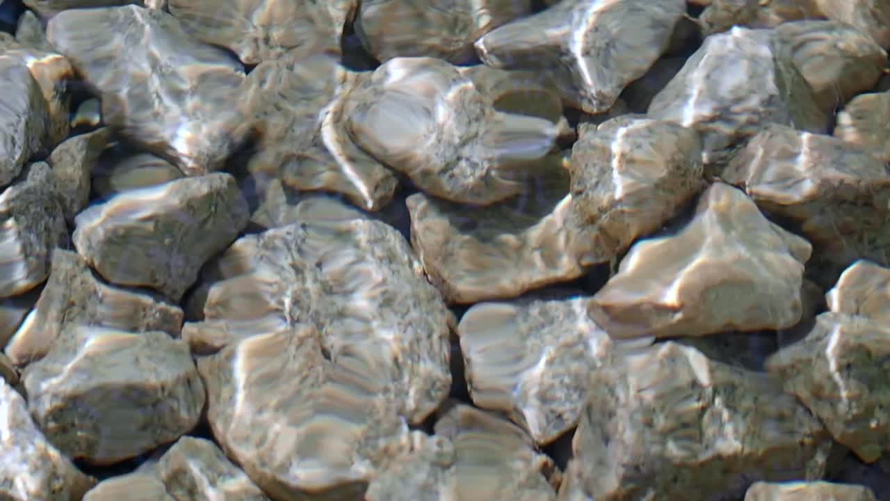 물 에 있는 바위