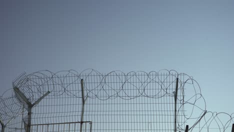 barbed-wire-fence-security-barbwire