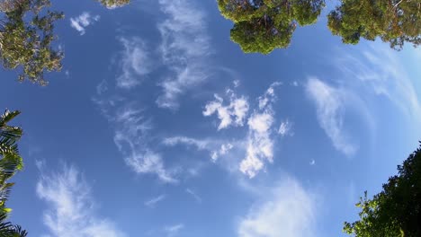 stunning summer clouds timelapse, beautifully frames by trees - ideal for background for text or graphics