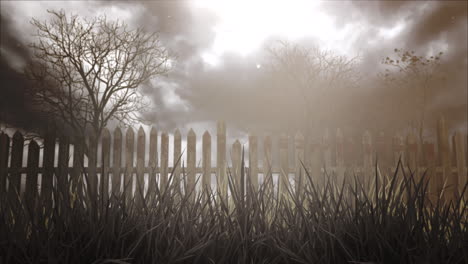 mystical halloween background with dark forest and fog 3