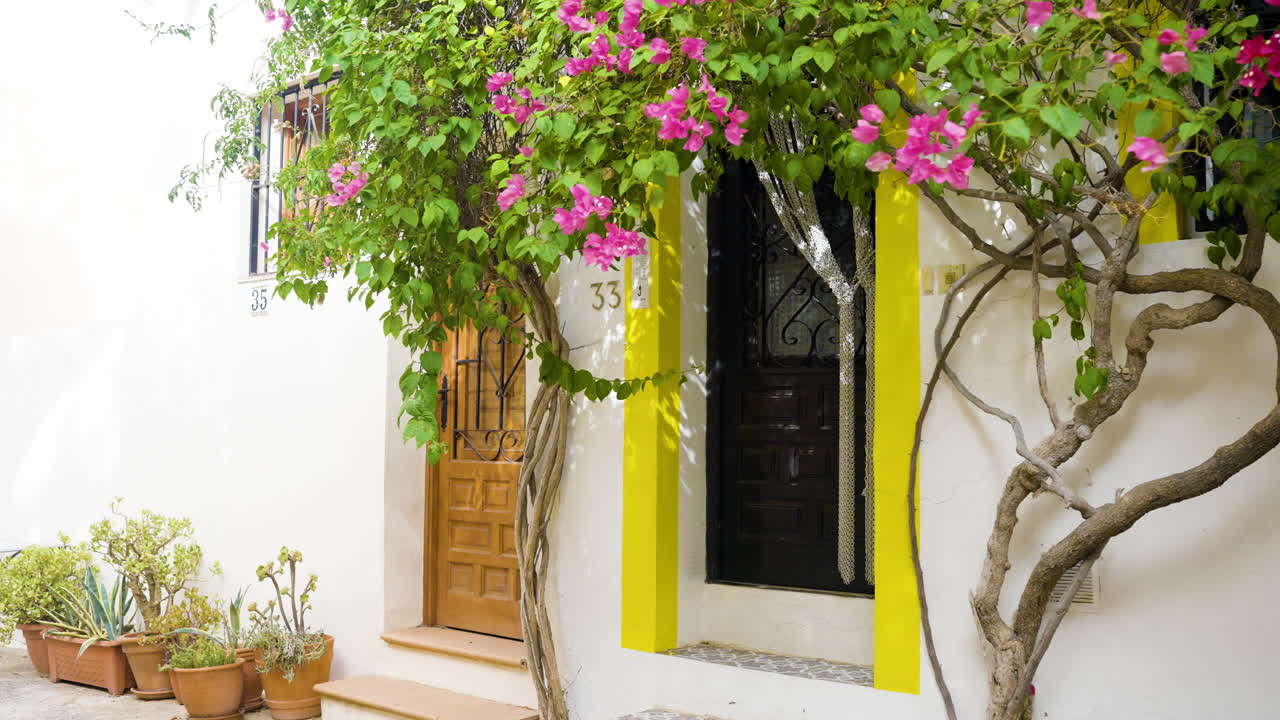 Spanish House Exterior with Bougainvillea