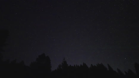 Night sky view with twinkling stars above a silhouetted forest line