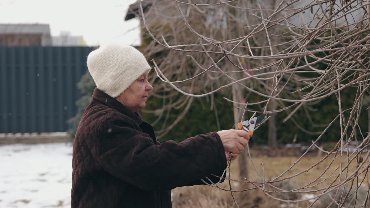 mujer podando un árbol en invierno