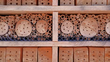 wooden-insect-house-for-bugs