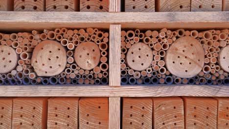 casa de insectos de madera para insectos