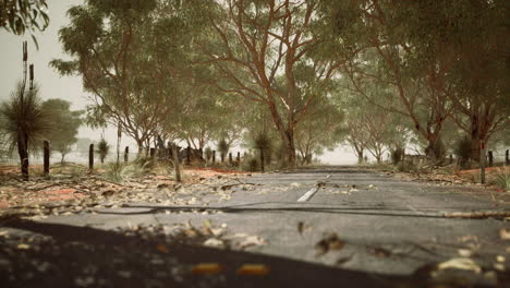 Camino-Abierto-En-Australia-Con-Arbustos