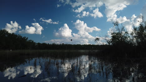 Weitschuss,-Der-Von-Einem-Blauen-Sommerhimmel-Herunterkippt,-Um-Sumpfland-Und-Wolken-Zu-Enthüllen,-Die-Sich-In-Der-Wasseroberfläche-Spiegeln