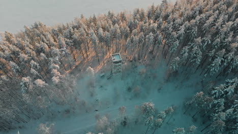 antena, incline hacia arriba, disparo de drone, lejos de una torre de vigilancia, en medio de un bosque de pinos nevados, al atardecer, en la costa del lago saimaa, en una tarde soleada de invierno, en vuoniemi, pohjois-karjala, finlandia