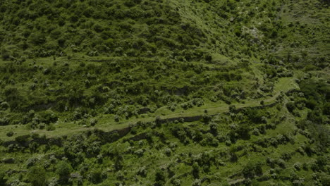 Alte-Landwirtschaftliche-Terrassen-Mit-Vegetation-In-Der-Ländlichen-Stadt-Aspindza-Am-Fluss-Paravani-In-Georgia