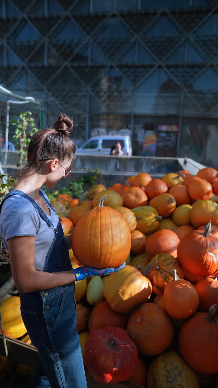 가을 시장 에서 호박 을 수확 하는 여자