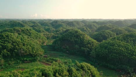 aerial-drone-view-of-forest-and-hill-with-a-curved-arrangement-in-the-morning,-Wonosari,-Yogyakarta