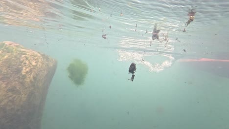 vista de la piscina bajo el agua