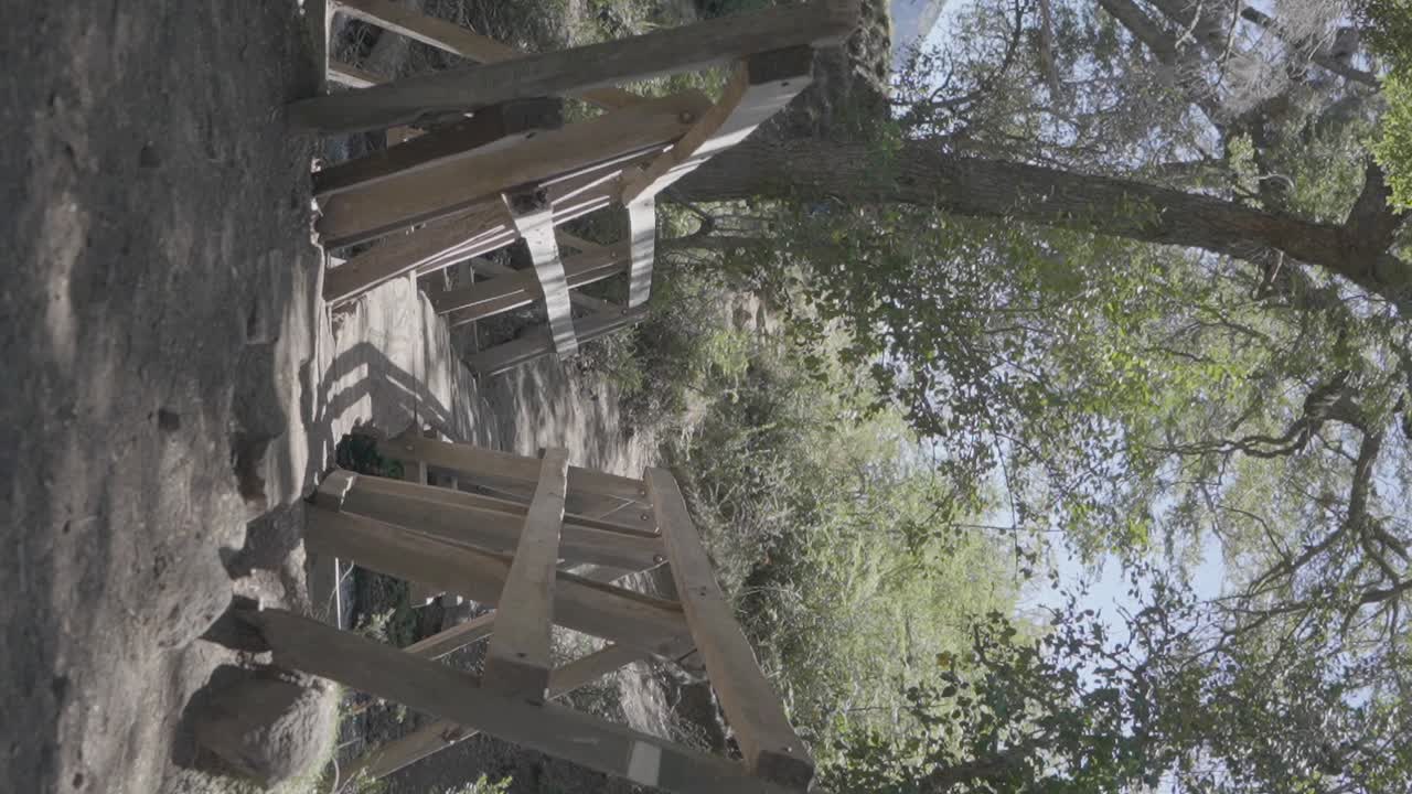 un puente rústico de madera en un camino a través de los árboles del bosque en la patagonia, argentina
