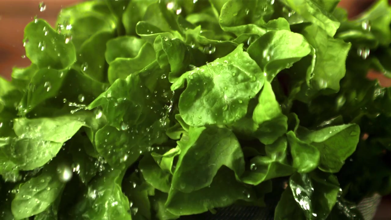 Zeitlupen-Wassertropfen fallen auf frische grüne Salatblätter.