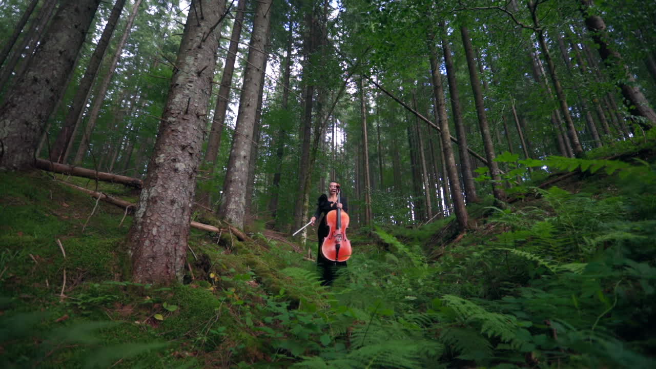 Gorgeous woman walks in woods with cello. Beautiful young lady in long black dress holding the musical instrument in green forest.