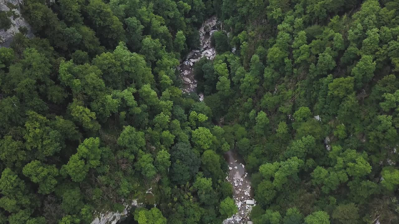 vista aérea de un valle de bosque exuberante