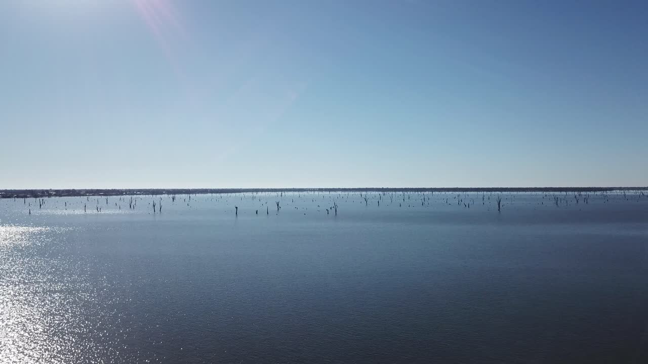 화창한 여름날 죽은 나무를 확대하는 호수 위의 드론 공중