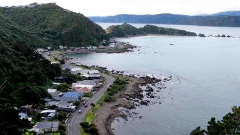 autos circulando, casas en la costa y el océano en la costa sur de wellington, nueva zelanda aotearoa