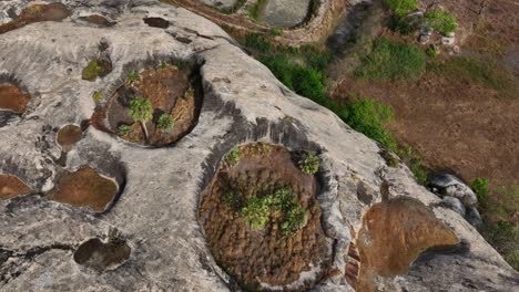 vegetation in round rock formations in ceara, brazil, aerial push-in