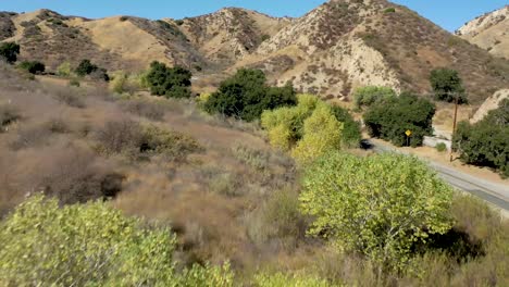 Pico-Canyon,-California-and-its-Fall-Colors