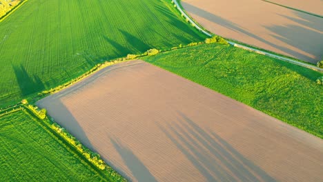 aerial of highly efficient dutch agriculture