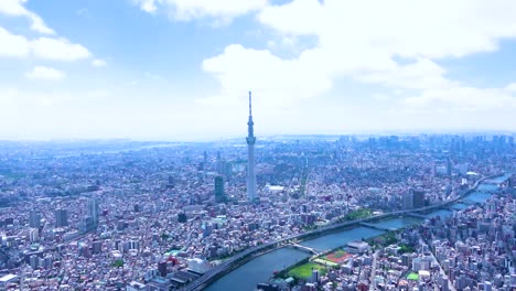 aerial view of tokyo city center