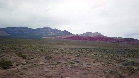 Aerial-push-in-with-cactus-revealing-in-the-foreground-and-the-rocks-of-Red-Rock-Canyon-in-the-background-in-4K