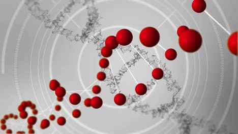 -Deoxyribonucleic-acid-models