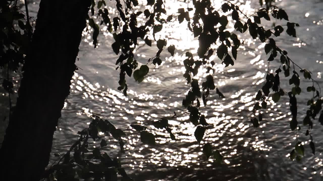 River Reflections and Silhouettes