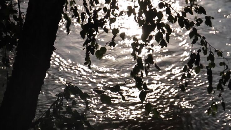River Reflections and Silhouettes