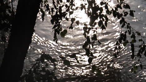 river reflections and silhouettes