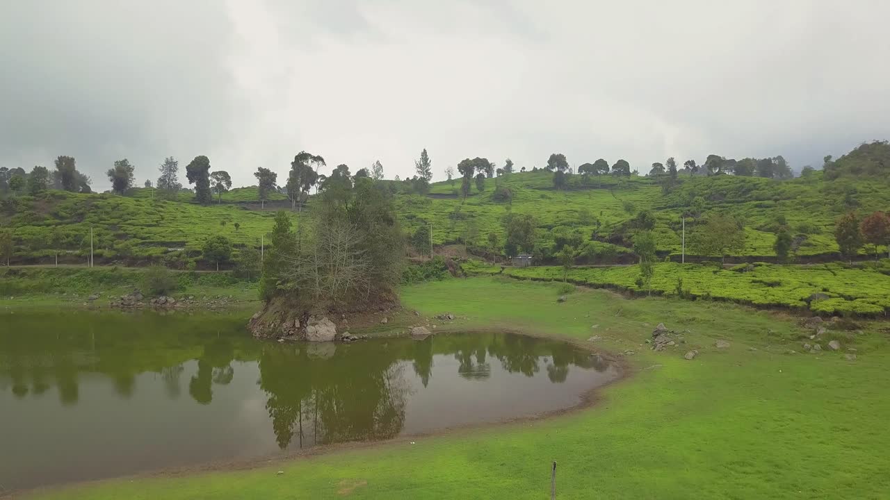 Lake with mountain and pine forest tea field