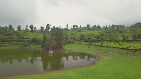 lake with mountain and pine forest tea field