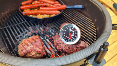 hornear bistec, carne de res, termómetro dentro de la carne roja, cocinar en carbón, barbacoa