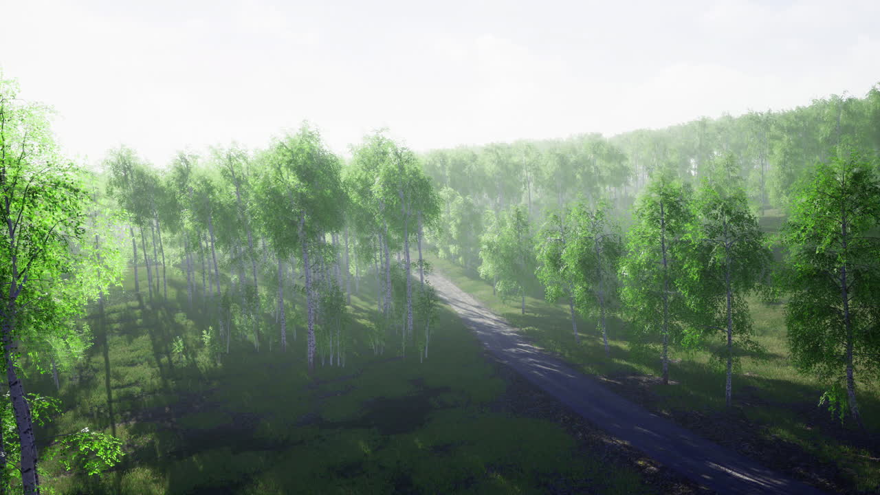 Lush green forest path illuminated by soft morning light and misty ambiance