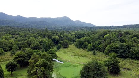 lowering towards wetland ecosystem habitat in forest landscape of ira lalaro, nino konis santana national park, timor leste, aerial drone lowering