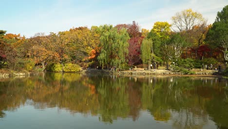 picturesque autumn landscape of steady lake and bright colorful trees reflected in chundangji pond water in november with korean people walking around on background, seoul, south korea